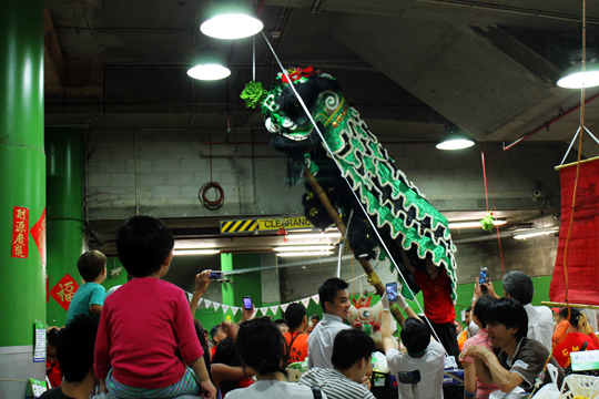 Apparently, dragons climbing ladders to eat cabbage is a Chinese New Year tradition, this time played out in Paddy's produce market.