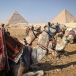 Egypt Part 2: Cairo’s Pyramids, Mummies, and Koshary Galore!