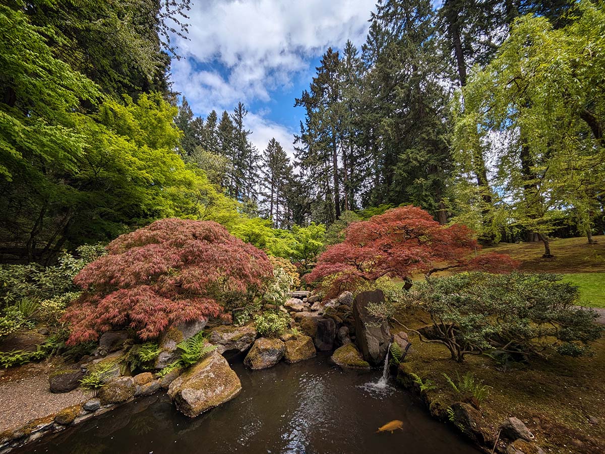 Portland Japanese Garden